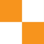 Orange and White Check